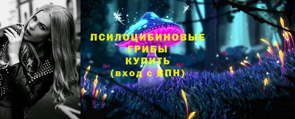 шишки Зеленодольск
