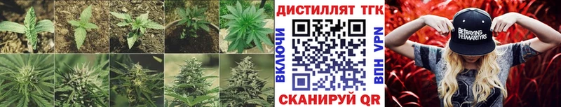 ТГК Wax Болохово