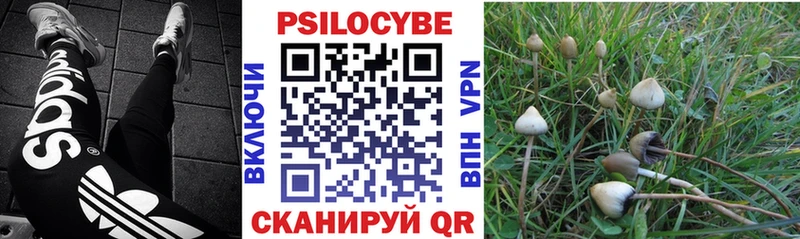 Галлюциногенные грибы Cubensis  Купить где  Болохово 